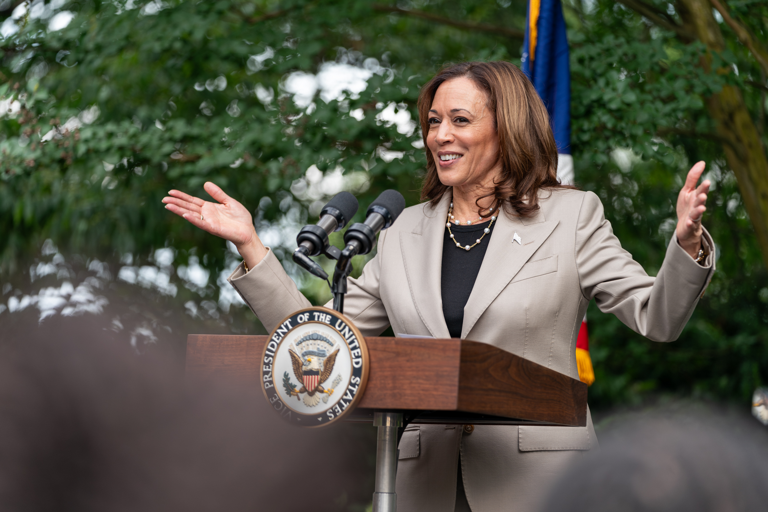 43% de los votantes por Kamala Harris, no lo hará por ella sino contra ...